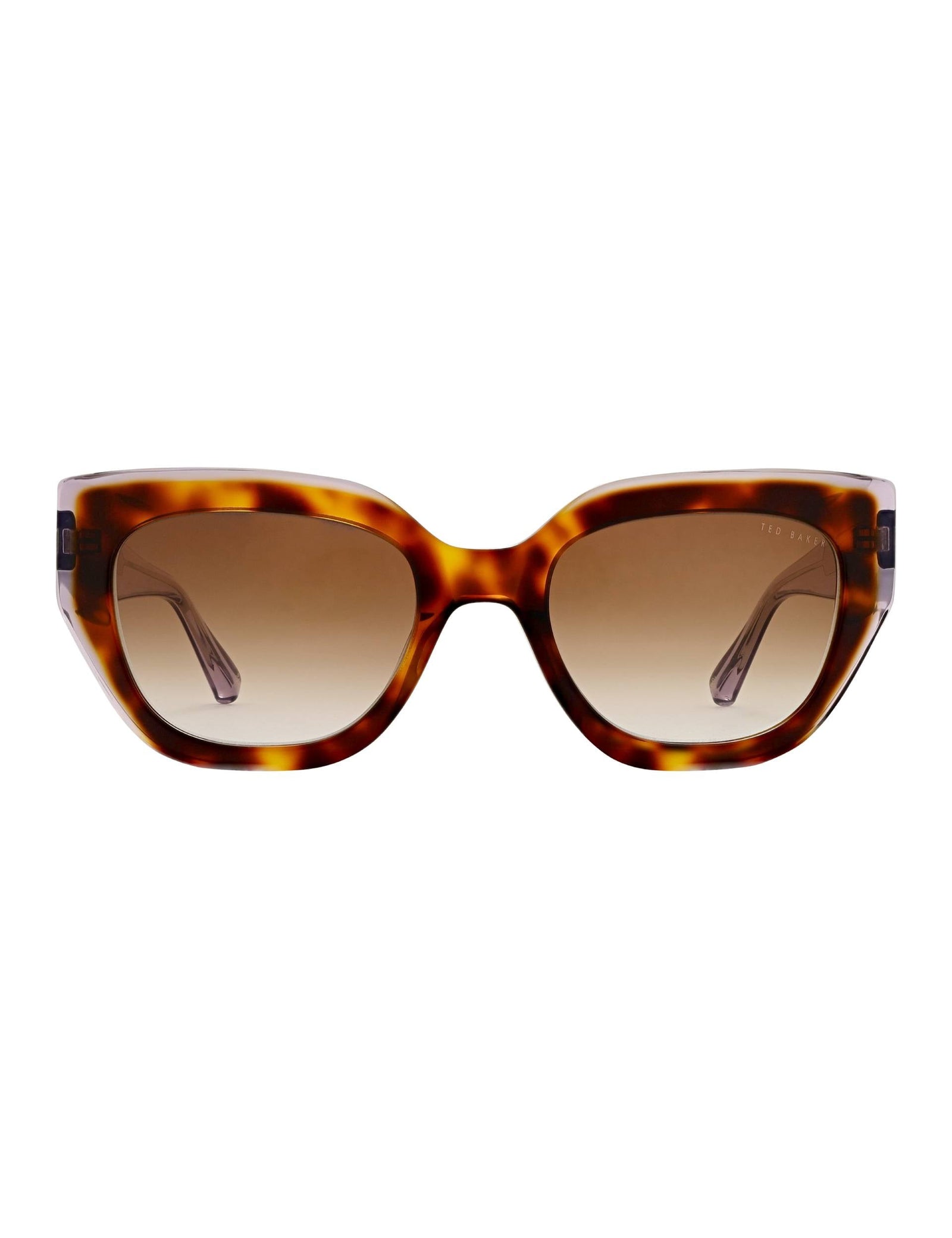 Ted Baker Coral Chunky Cat Eye Acetate Sunglasses Women's