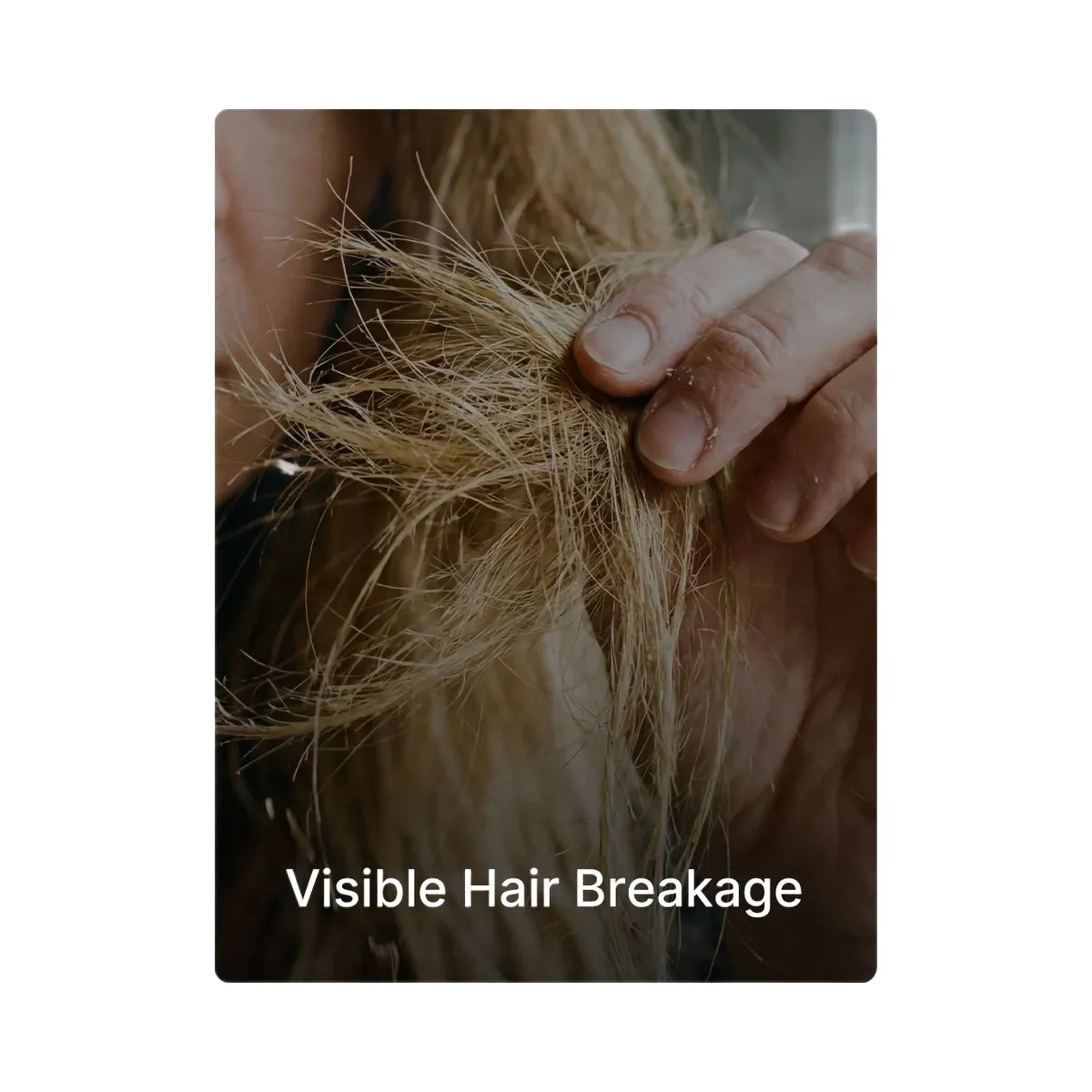 Medicube Rosemary PDRN Hair & Scalp Conditioner