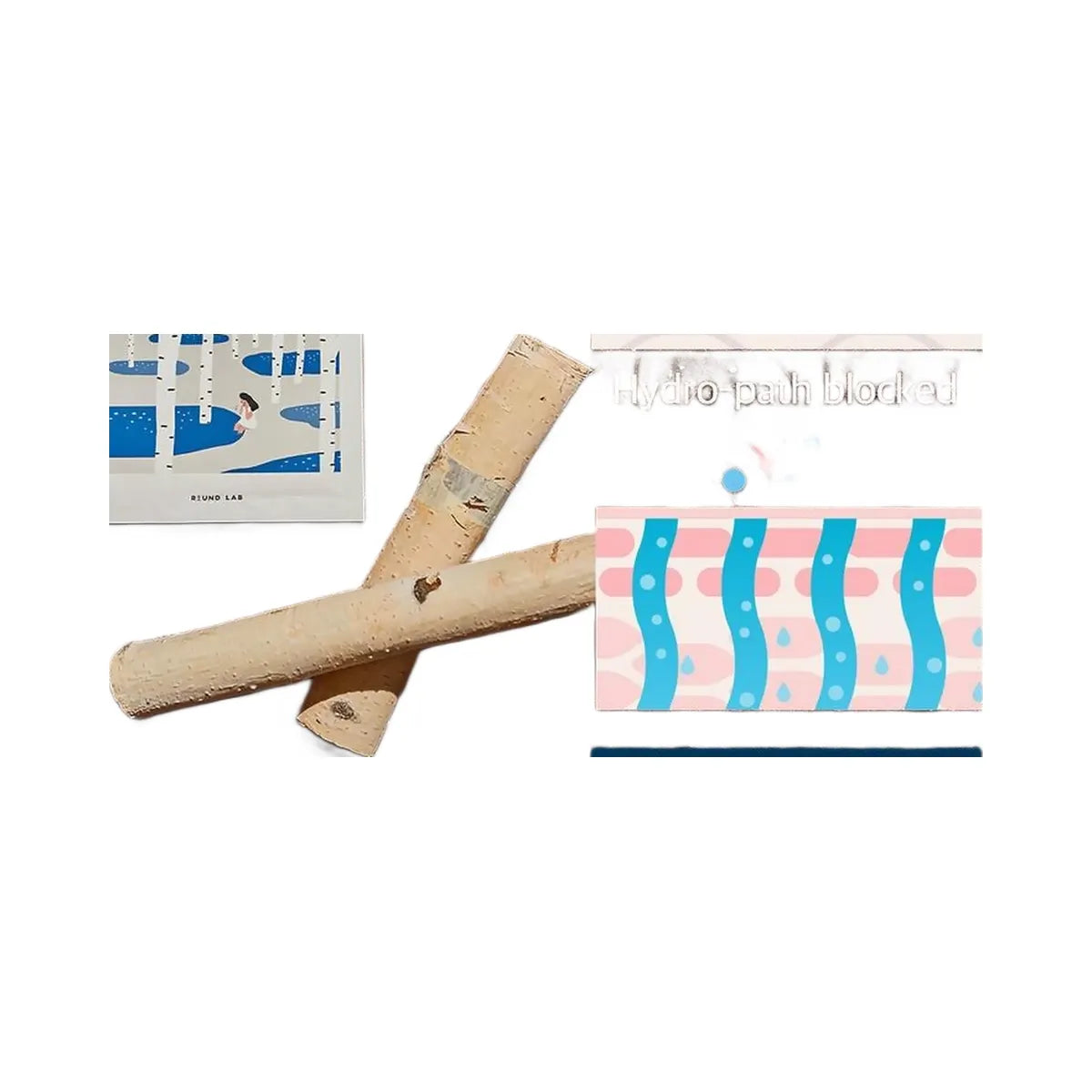 ROUND LAB Birch Juice Moisturizing Mask Set