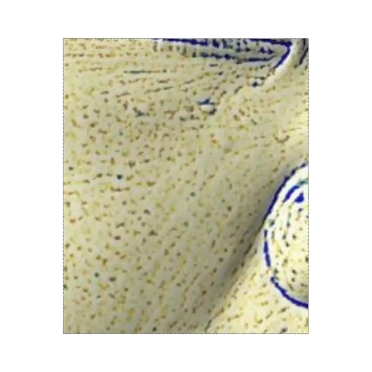 ANUA BHA 2% Gentle Exfoliating Toner