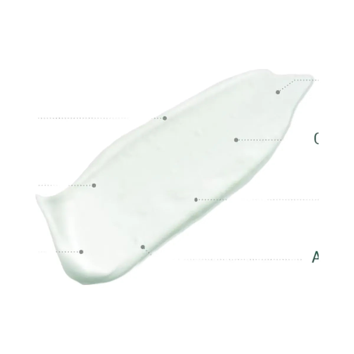 ROUND LAB Pine Calming Cica Cleanser
