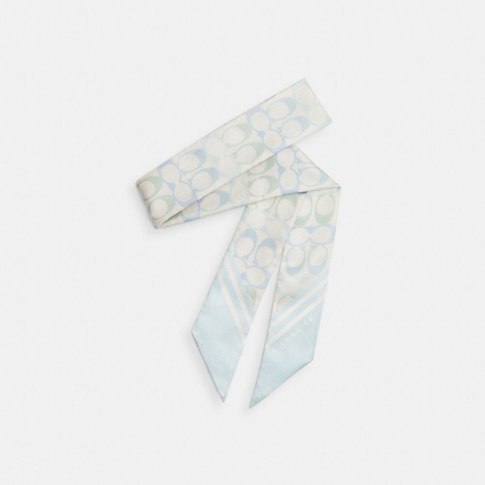 Coach Signature Silk Skinny Scarf Chalk Blue