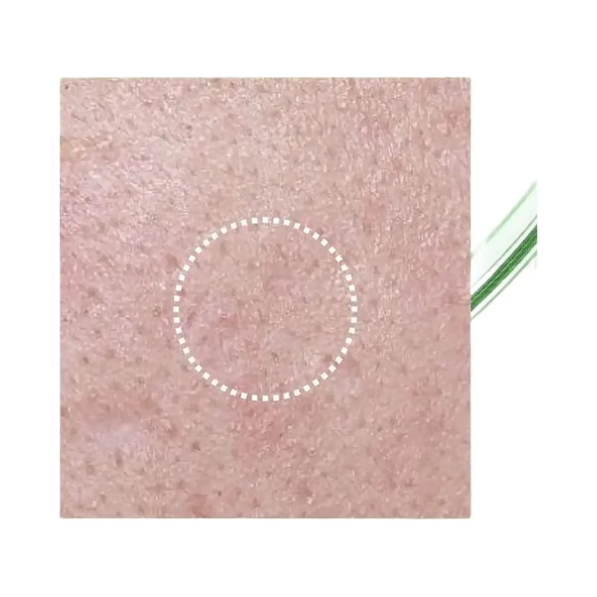 ANUA Azelaic Acid 3 Cica Skin Clarifying Toner