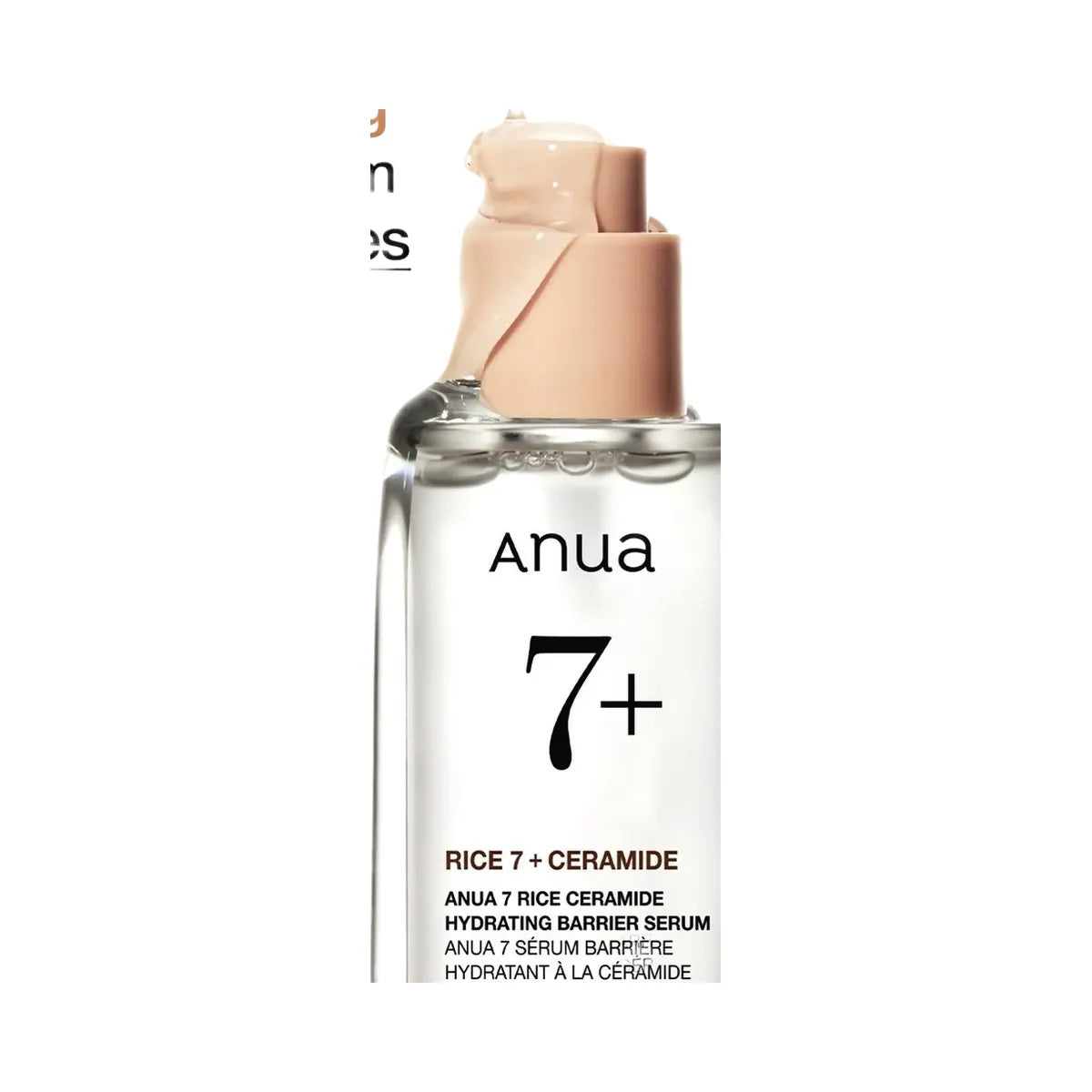ANUA 7 Rice Ceramide Hydrating Barrier Serum
