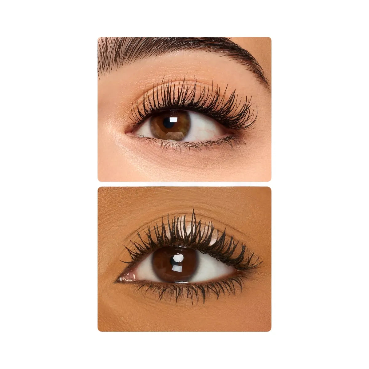 Tarte Maracuja Juicy Lip Oil Tubing Mascara And Setting Powder
