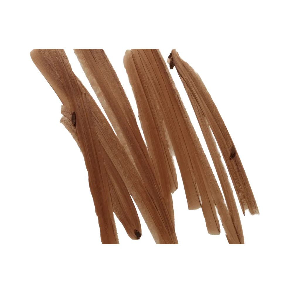 Rhode Peptide Lip Shape 'Jump- Chocolate Brown'