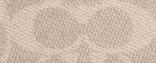 Nolita 19 In Blocked Signature Canvas