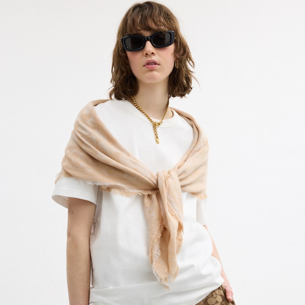 Coach Jumbo Horse And Carriage Wrap Taupe