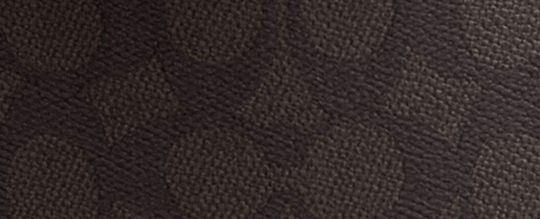 Carey Crossbody Bag In Signature Canvas