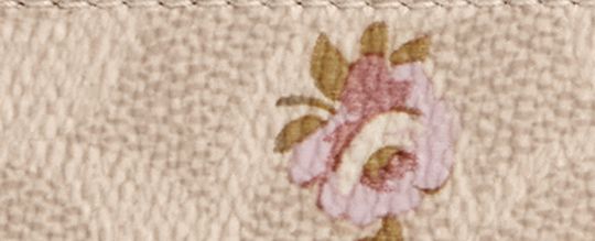 Zip Card Case In Signature Canvas With Floral Print