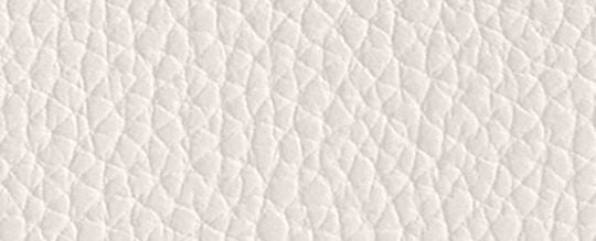 Essential Small Zip Around Card Case