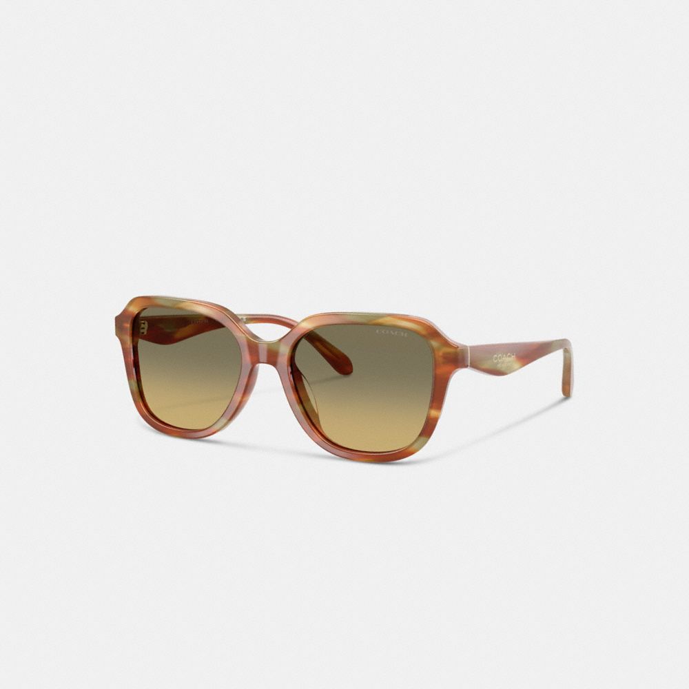 Oval Square Sunglasses