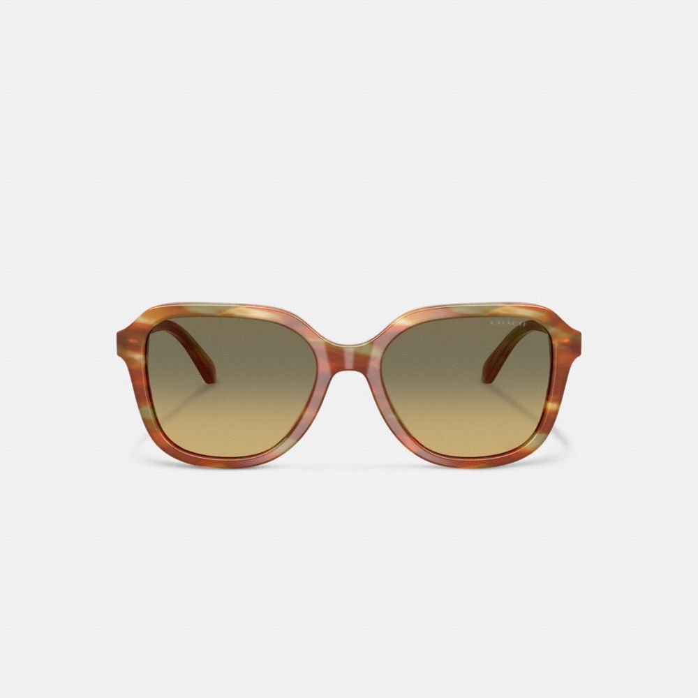 Oval Square Sunglasses