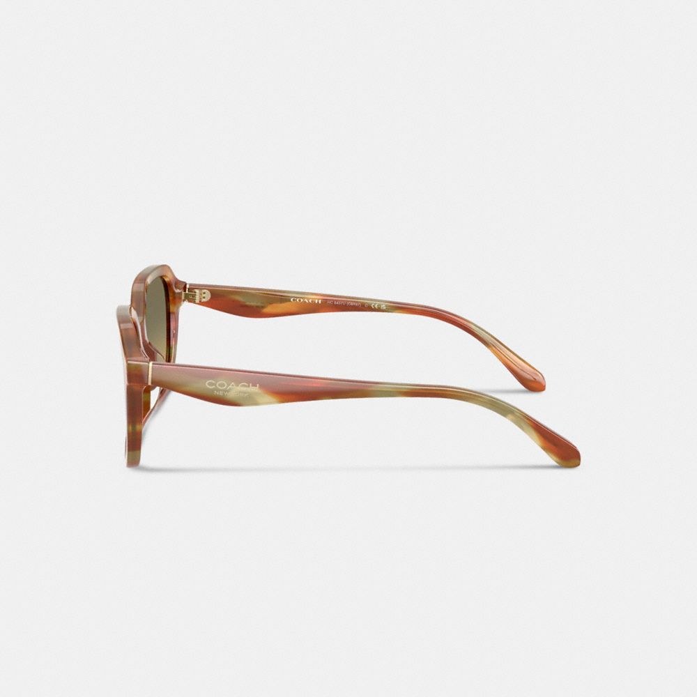 Oval Square Sunglasses