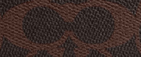 Plaza Bag 18 In Signature Canvas