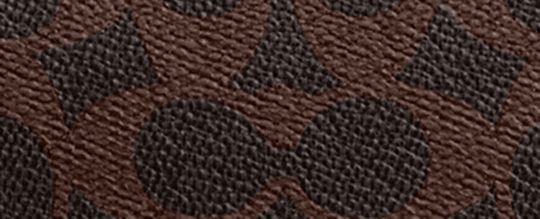 Plaza Bag In Signature Canvas