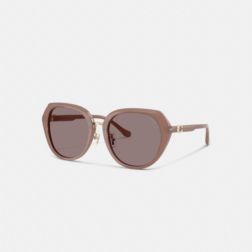 Maxi Sculpted C Oversized Round Sunglasses