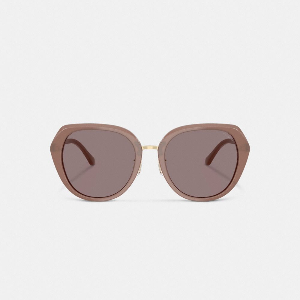 Maxi Sculpted C Oversized Round Sunglasses