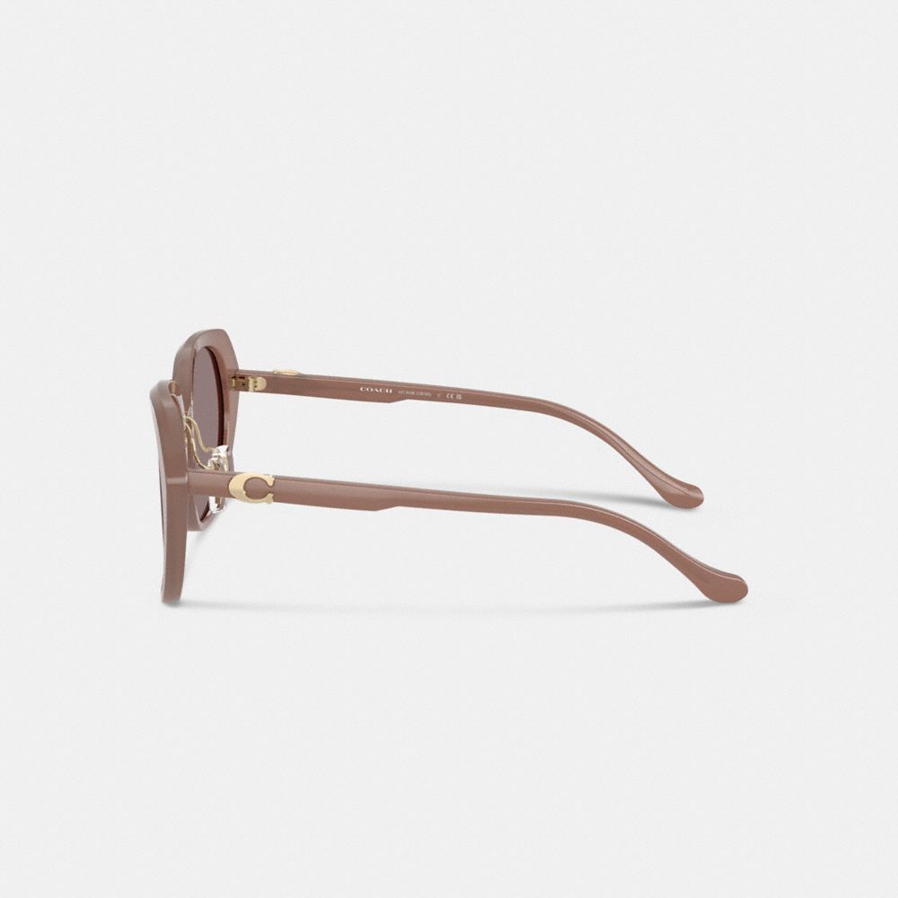 Maxi Sculpted C Oversized Round Sunglasses