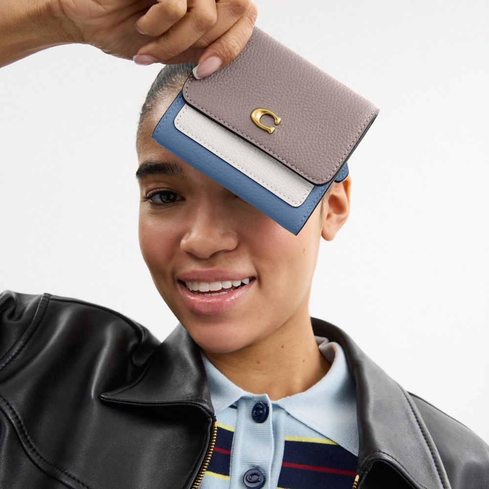 Mila Small Flap Wallet In Colorblock