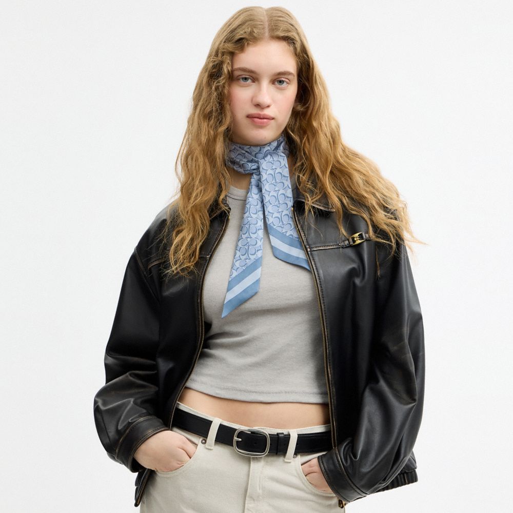 Coach Signature Silk Skinny Scarf Niagara Mist