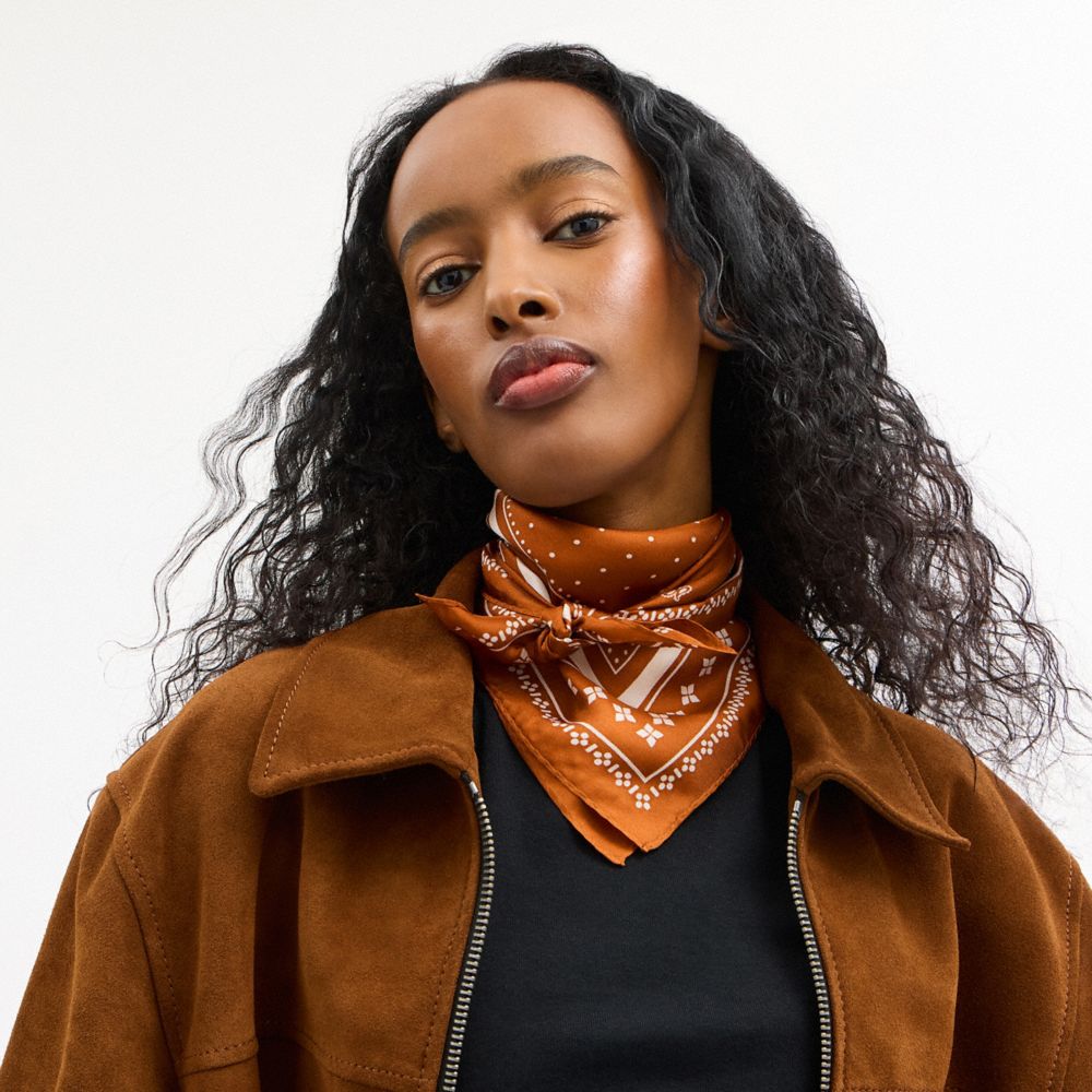 Coach Horse And Carriage Dot Print Silk Bandana Russet
