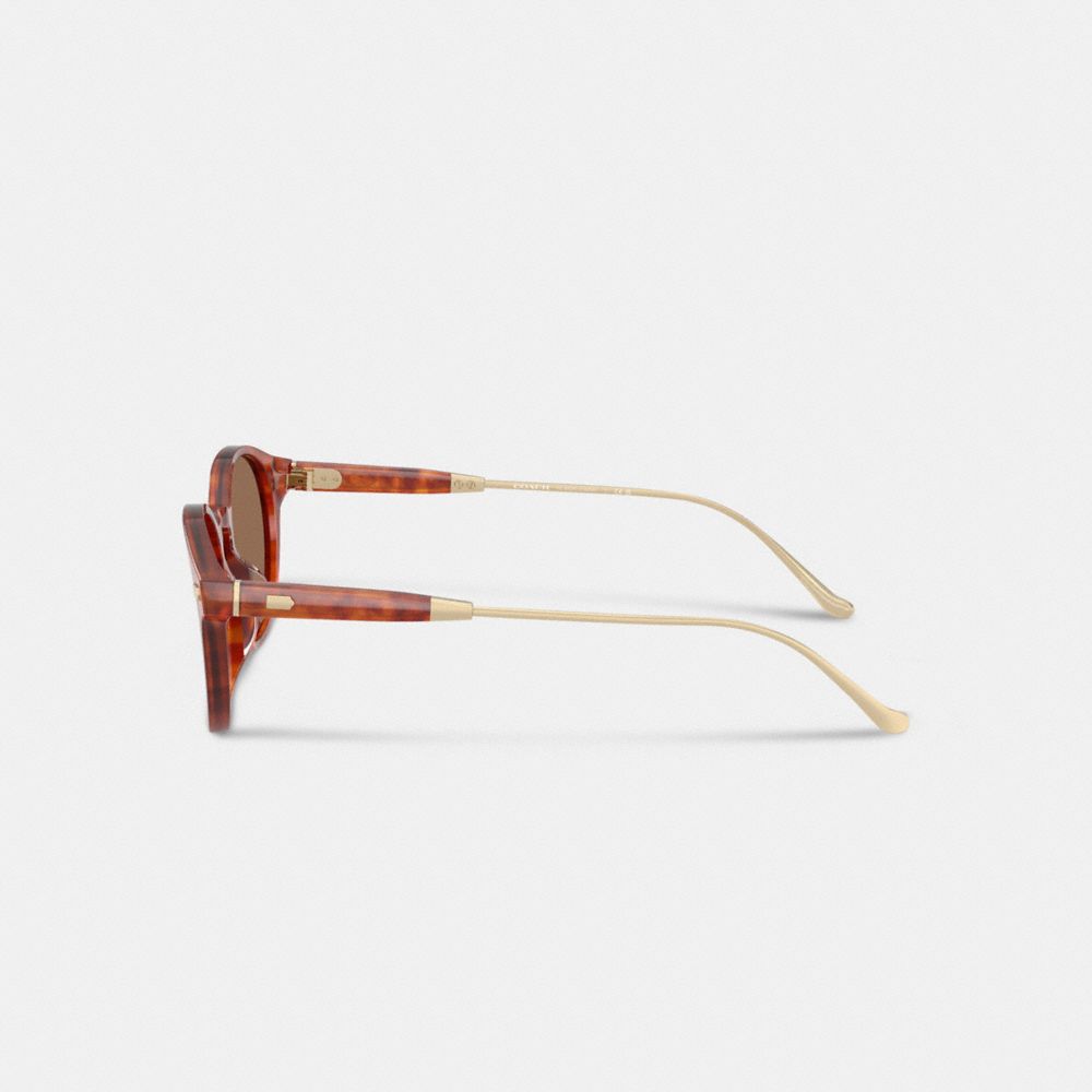 Signature Round Sunglasses
