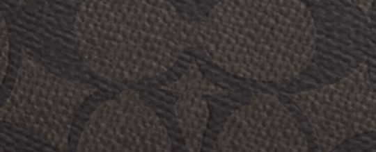 Teri Mini Crossbody Bag In Signature Canvas