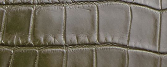 Rogue Bag 25 In Alligator
