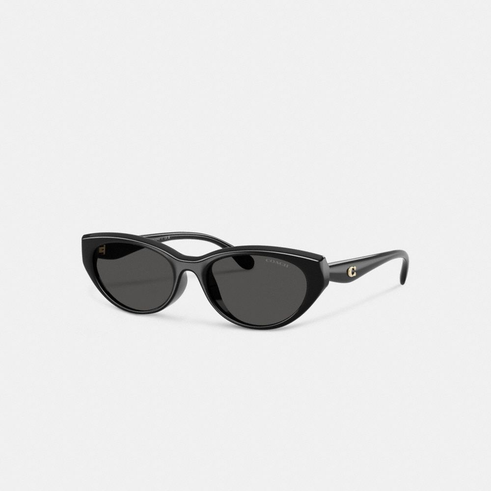 C Hardware Oval Cat Eye Sunglasses