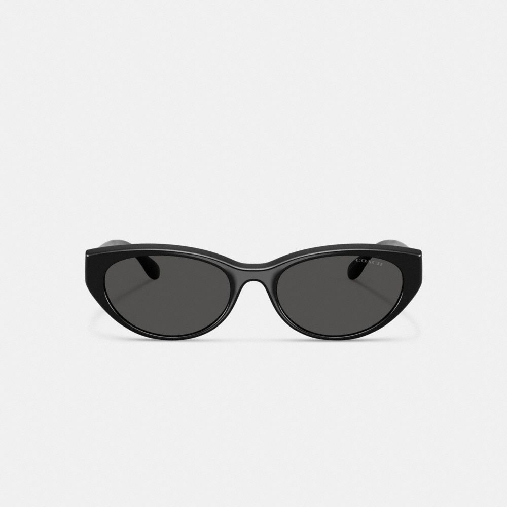 C Hardware Oval Cat Eye Sunglasses