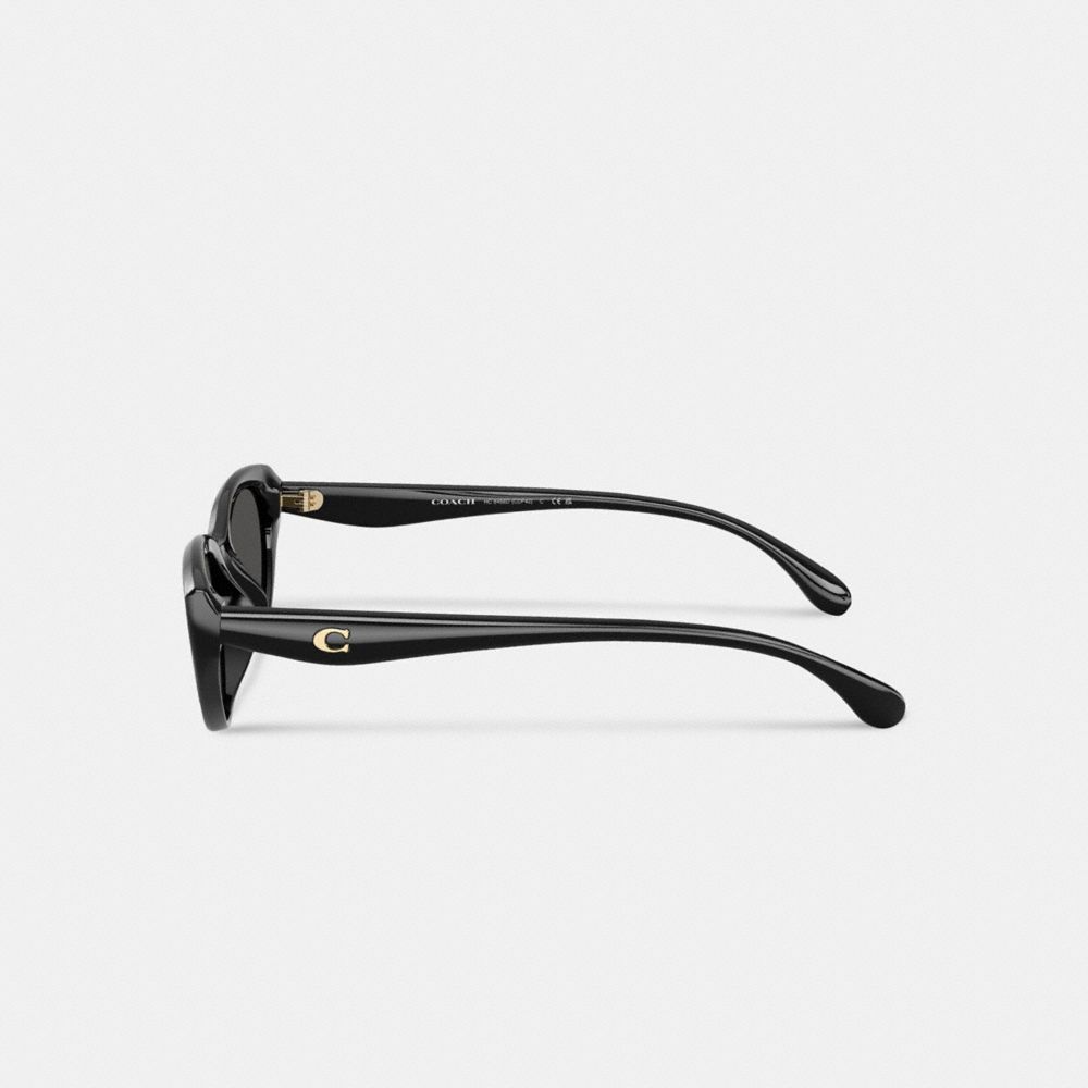 C Hardware Oval Cat Eye Sunglasses