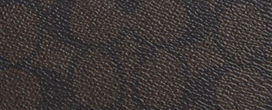 Coach Teri Shoulder Bag In Signature Canvas