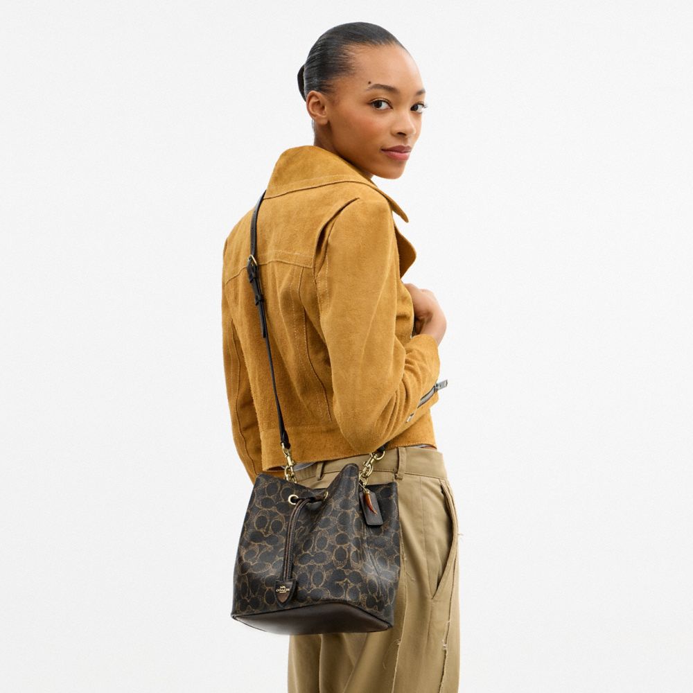 Rowan Bucket Bag In Loved Signature Canvas With Charms