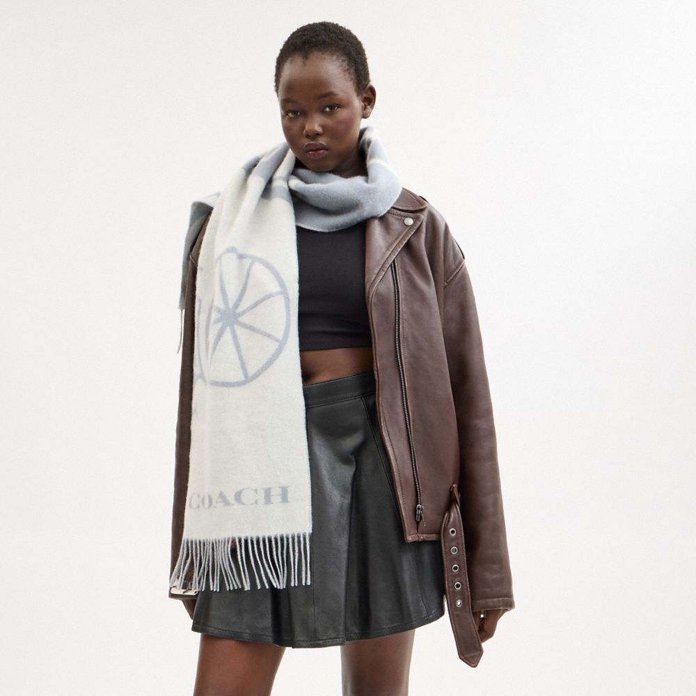 Coach Horse And Carriage Cashmere Muffler Chalk