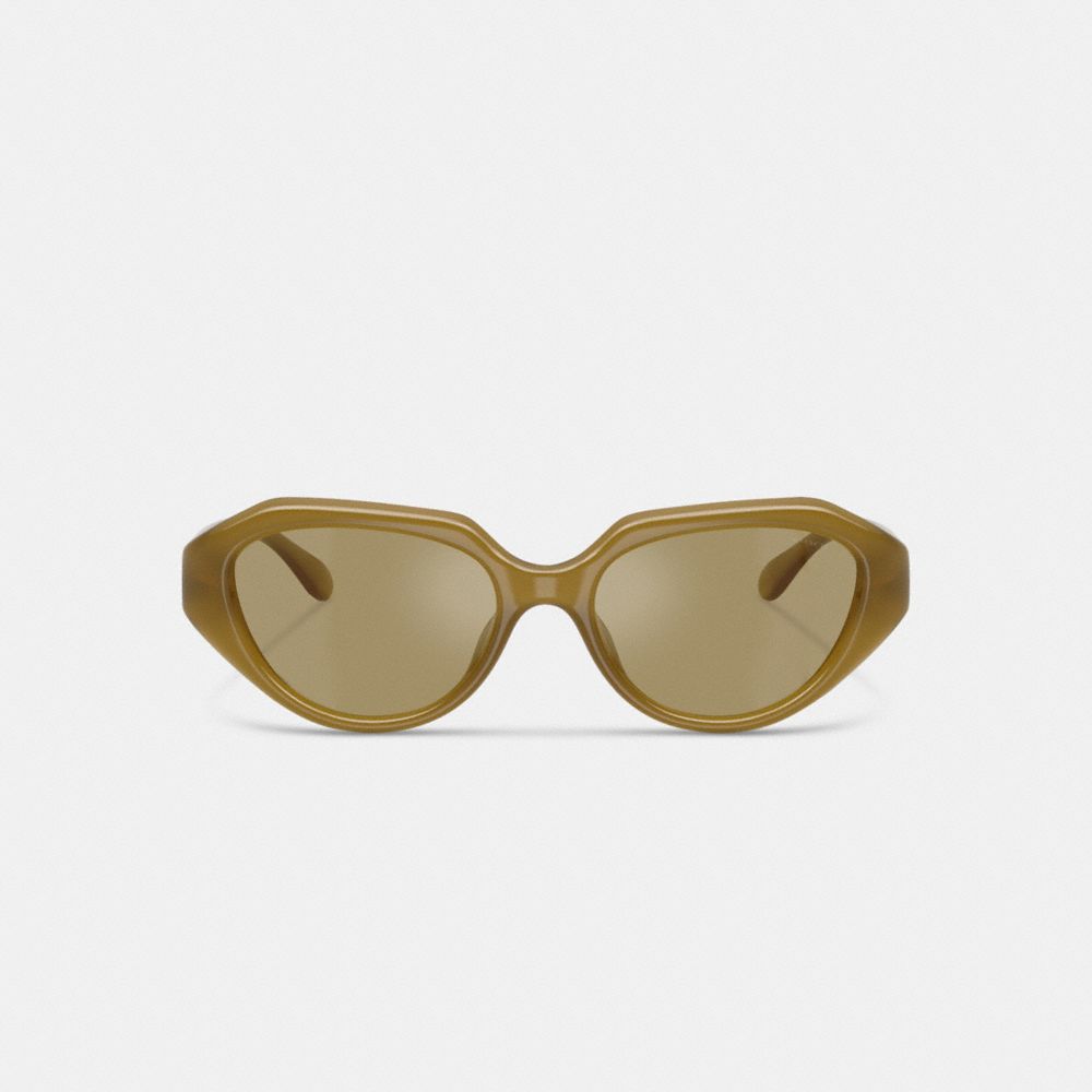 C Hardware Geometric Sunglasses