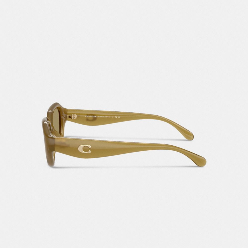 C Hardware Geometric Sunglasses