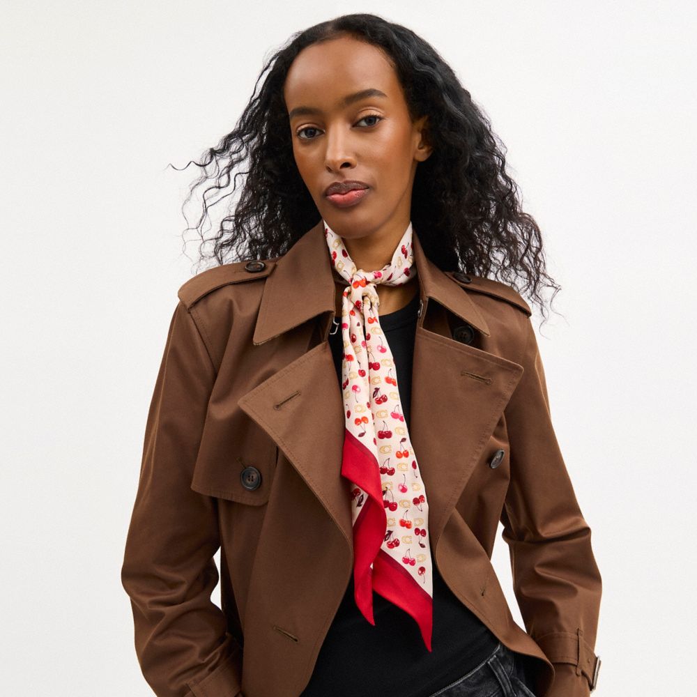 Sculpted C Cherries Print Silk Wide Skinny Scarf