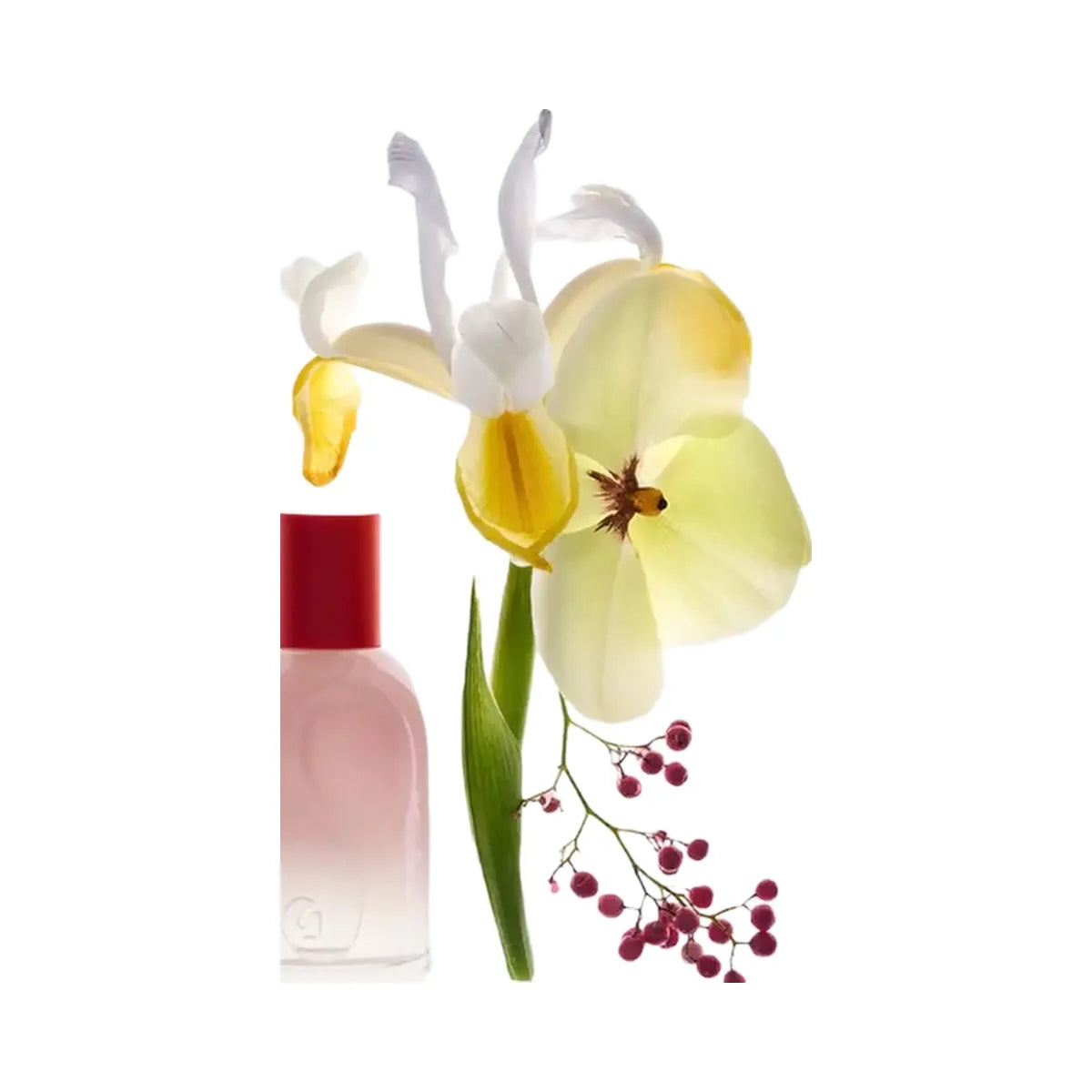 Glossier Glossier You Perfume Discovery Set