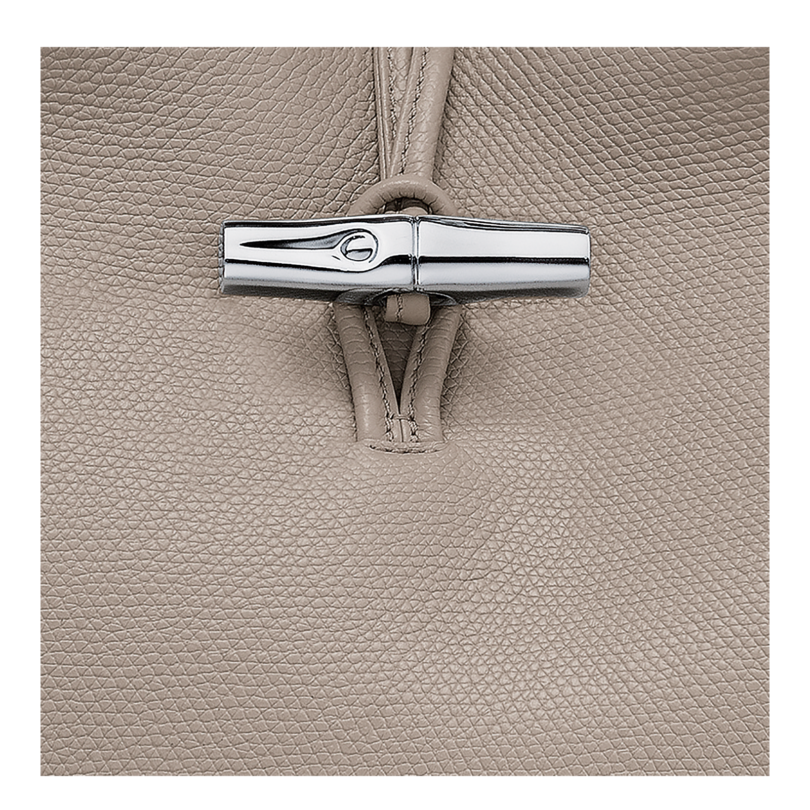 Longchamp Le Roseau L Handbag Clay