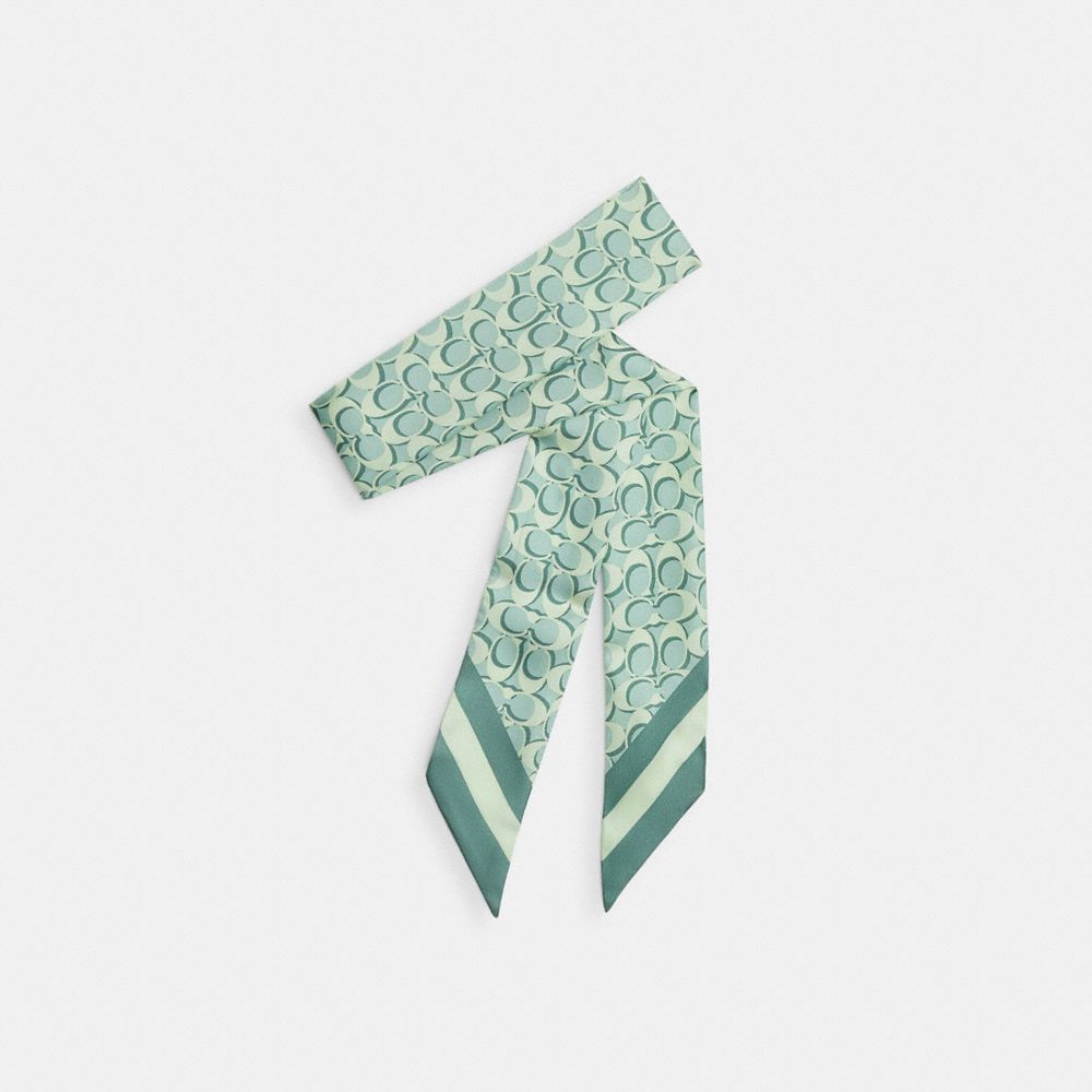Coach Signature Silk Skinny Scarf Mint