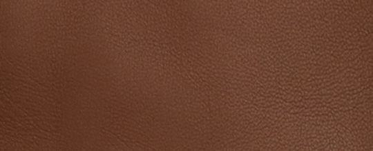 Leather Tech Gloves