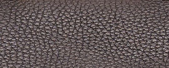 Restored Riya Backpack 21
