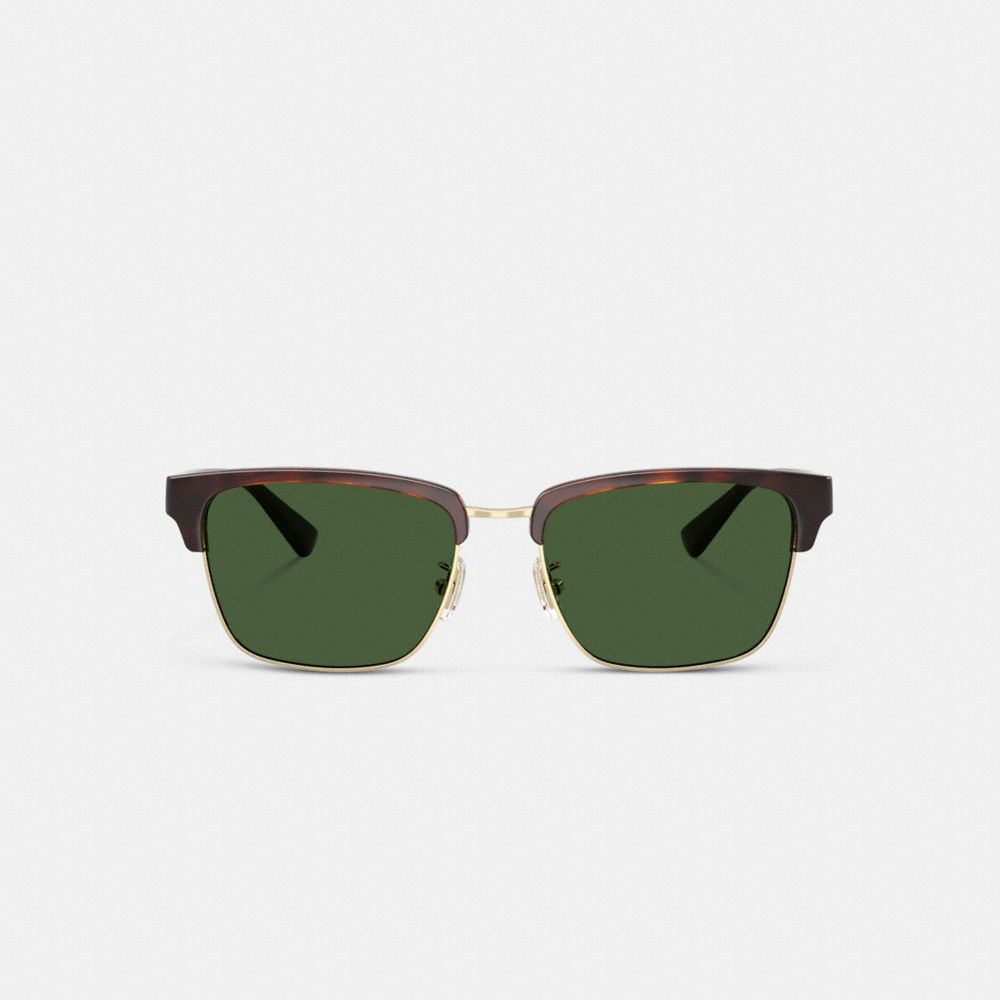 Coach Coach Script Square Sunglasses Dark Tortoise