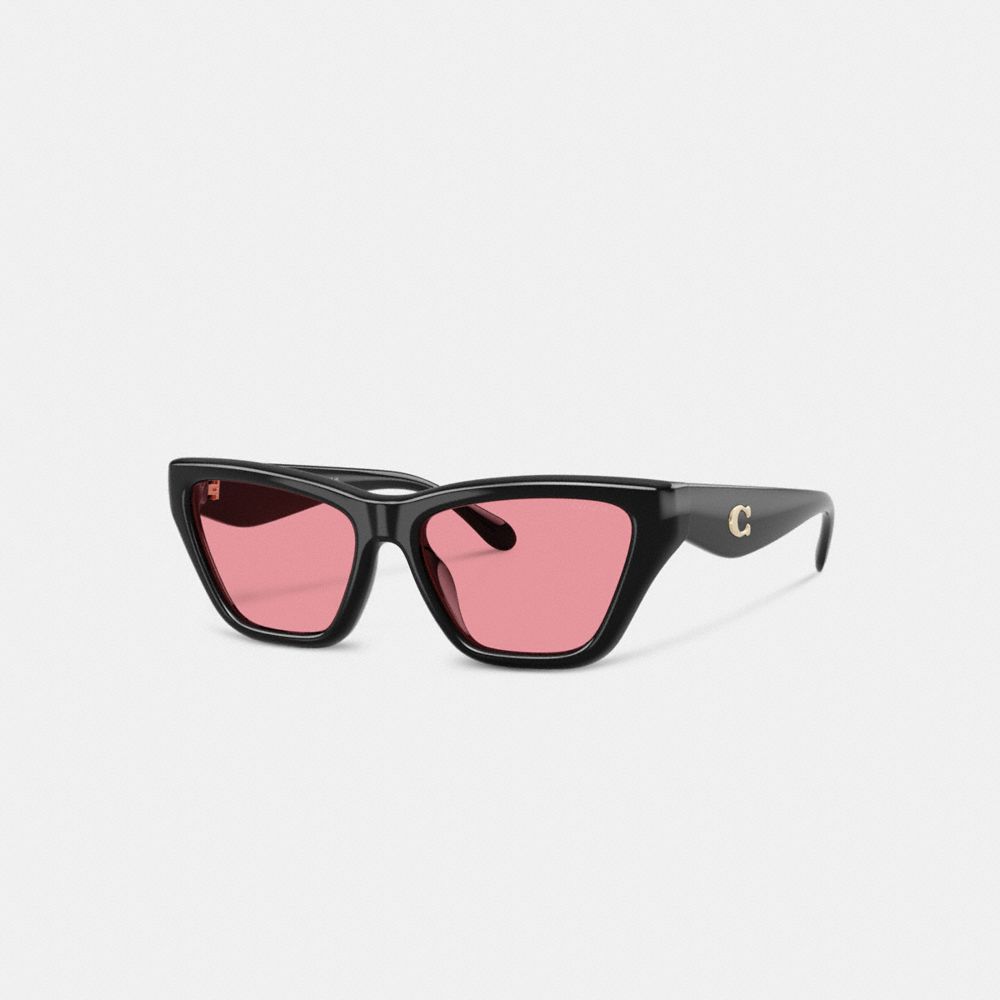 C Hardware Cat Eye Sunglasses