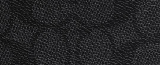 Warren Mini Belt Bag In Signature Canvas
