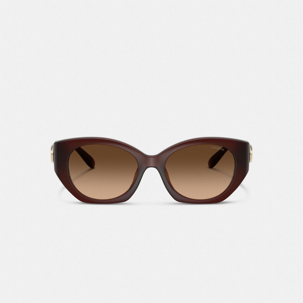 Maxi Sculpted C Oval Sunglasses
