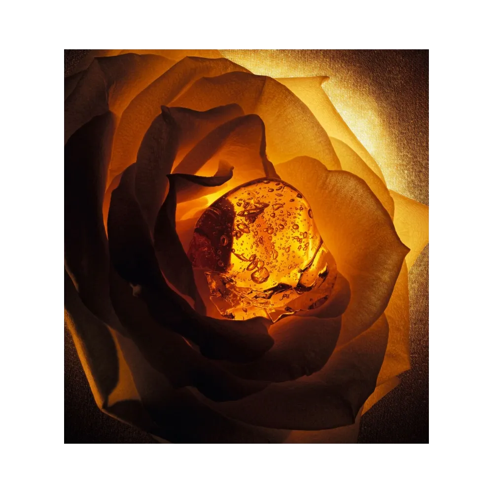 Dior Ambre Nuit Eau De Parfum - Amber And Floral Notes