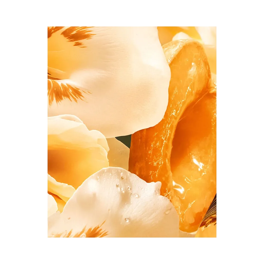 Dior J’adore Eau De Parfum Solar And Floral Notes