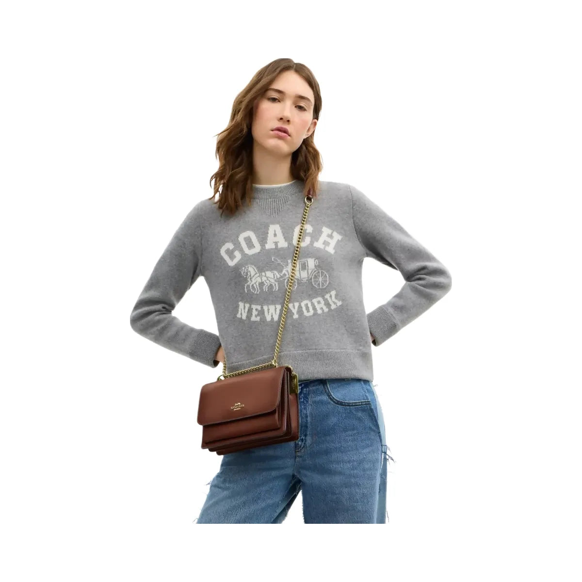 Coach Klare Crossbody Bag in Gold Redwood